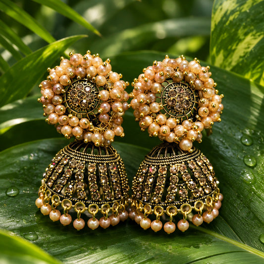 Aanya Jhumka