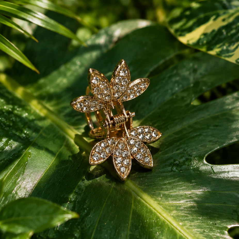 Crystal Clips