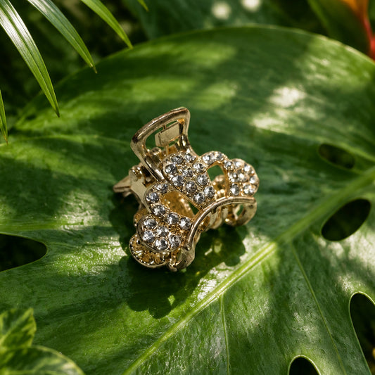 Crystal Clips