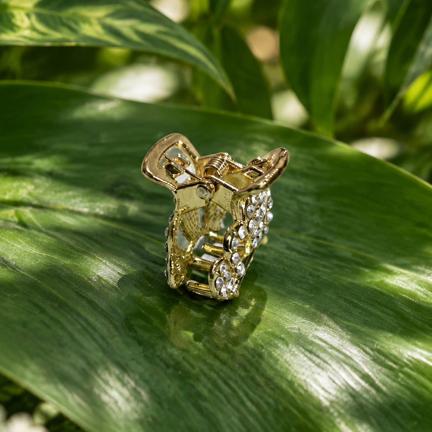 Crystal Clips