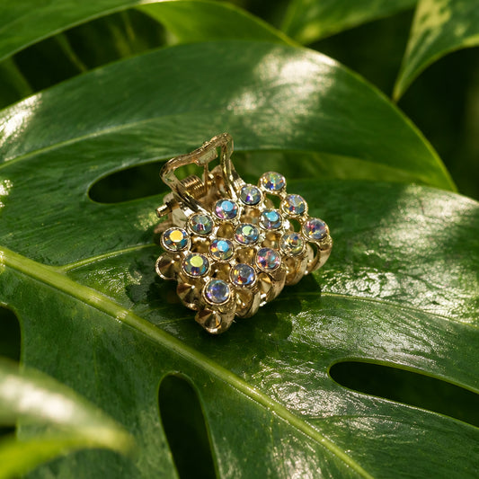 Mini Crystal Clips