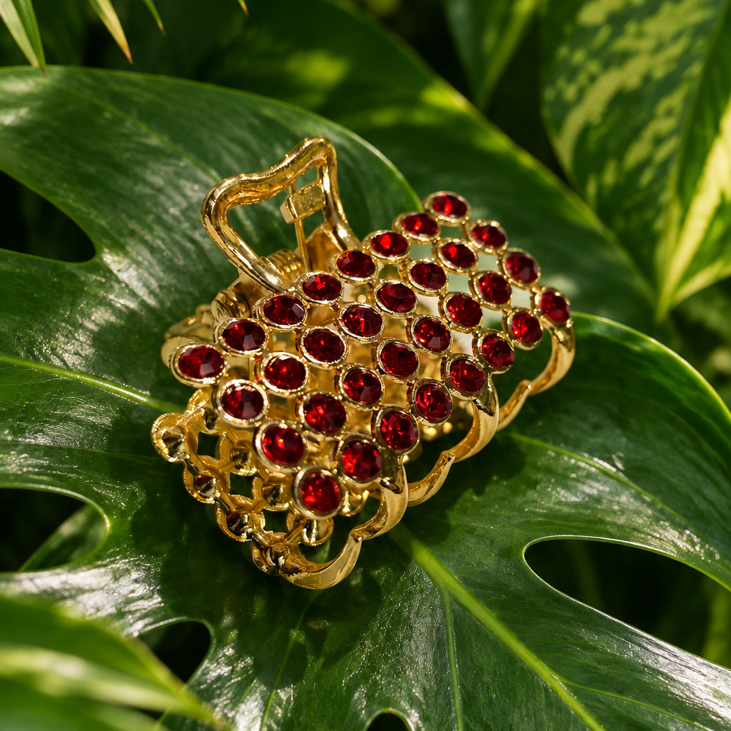 Aayat Crystal Hair Clips