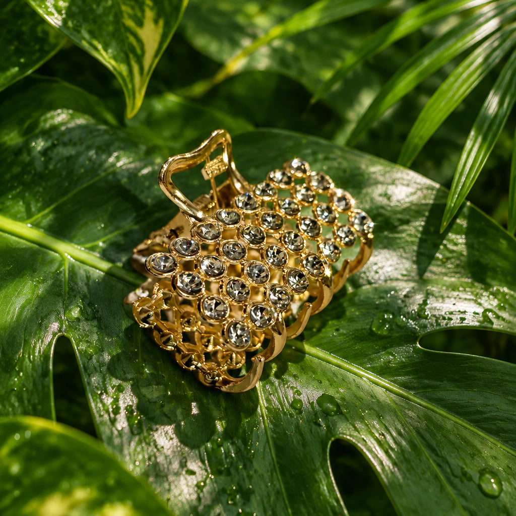 Aayat Crystal Hair Clips