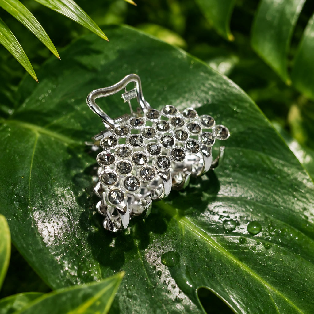 Haveli Crystal Hair Clips