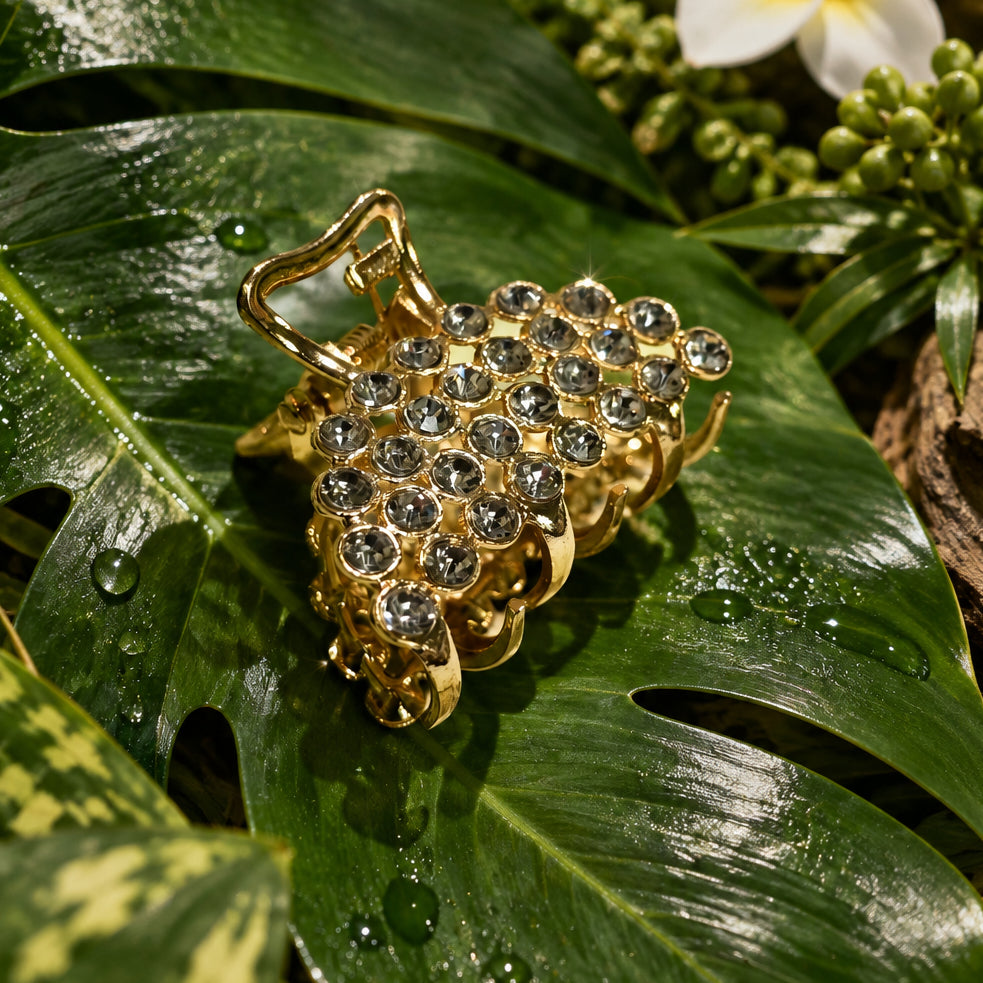 Haveli Crystal Hair Clips